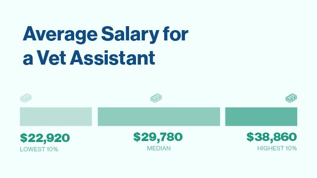 Your Veterinary Assistant Career Guide Salary Job Duties   Pf Veterinary Assistant Career Guide Body Blog Image 02 Bar Graph 