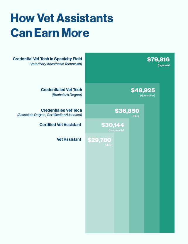 Your Veterinary Assistant Career Guide Salary Job Duties   Pf Veterinary Assistant Career Guide Body Blog Image 03 Bar Graph 