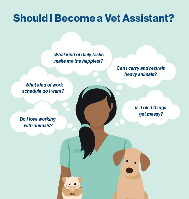 Your Veterinary Assistant Career Guide Salary Job Duties   Pf Veterinary Assistant Career Guide Body Blog Image 04 