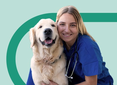 vet assistant in blue scrubs with golden retriever.