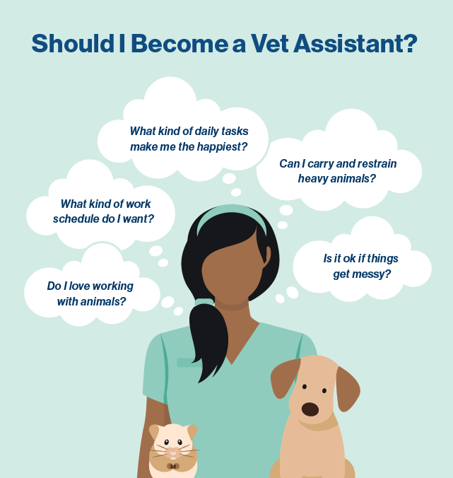 Your Veterinary Assistant Career Guide Salary Job Duties   Pf Veterinary Assistant Career Guide Blog Body Image 04 