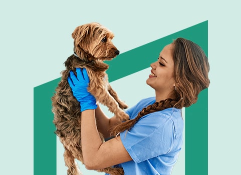 vet tech holding an adorable dog.