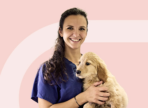 Vet tech in scrubs holding puppy.