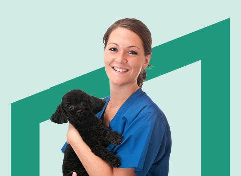 a perfect black puppy and a vet worker.