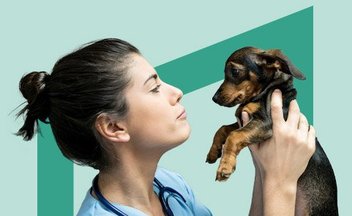 vet tech holding small brown and black puppy on green background.