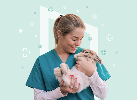 Your Veterinary Assistant Career Guide Salary Job Duties   Your Veterinary Assistant Career Guide Salary Job Duties Requirements Large 