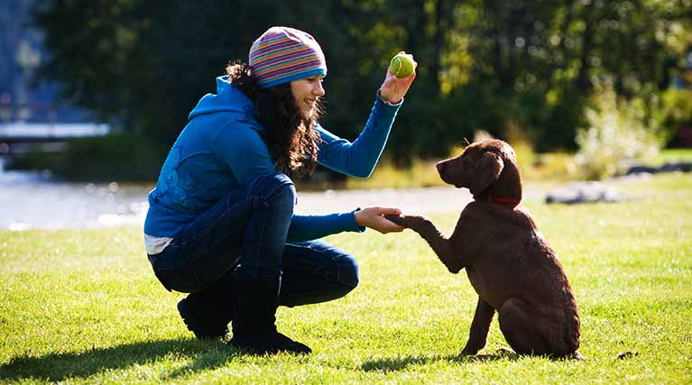 Positive Reinforcement Training